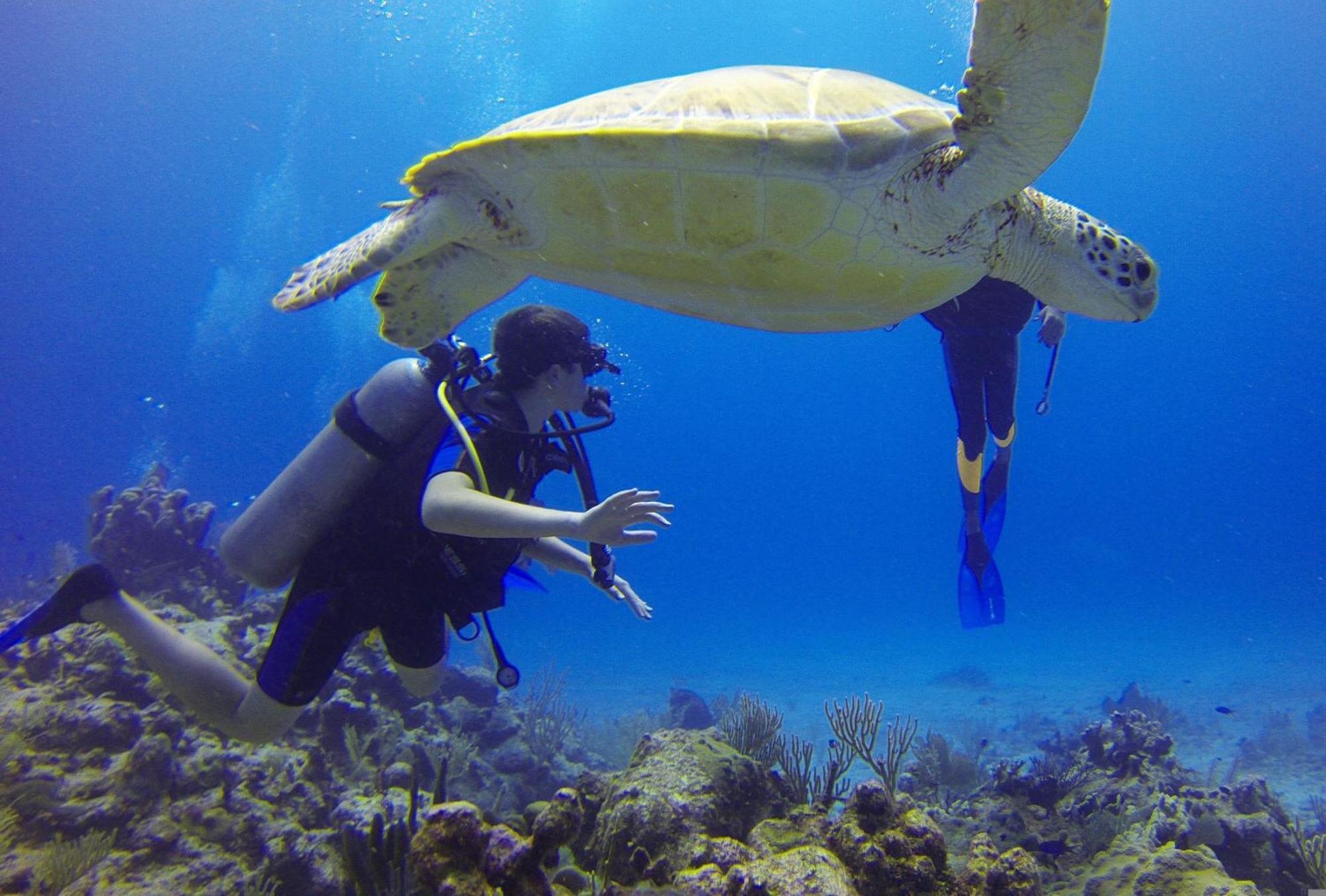 Roxon Red Sea Eilat - Adults Only Hotell Exteriör bild